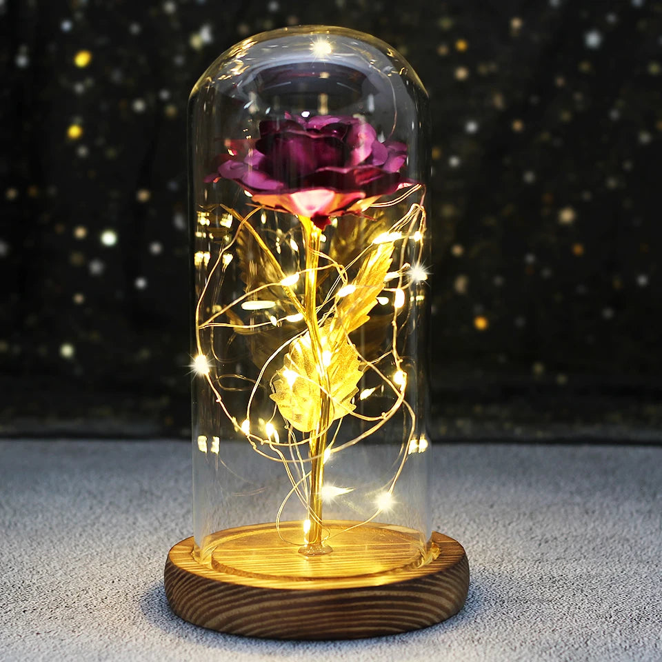 Eternal Bloom Light