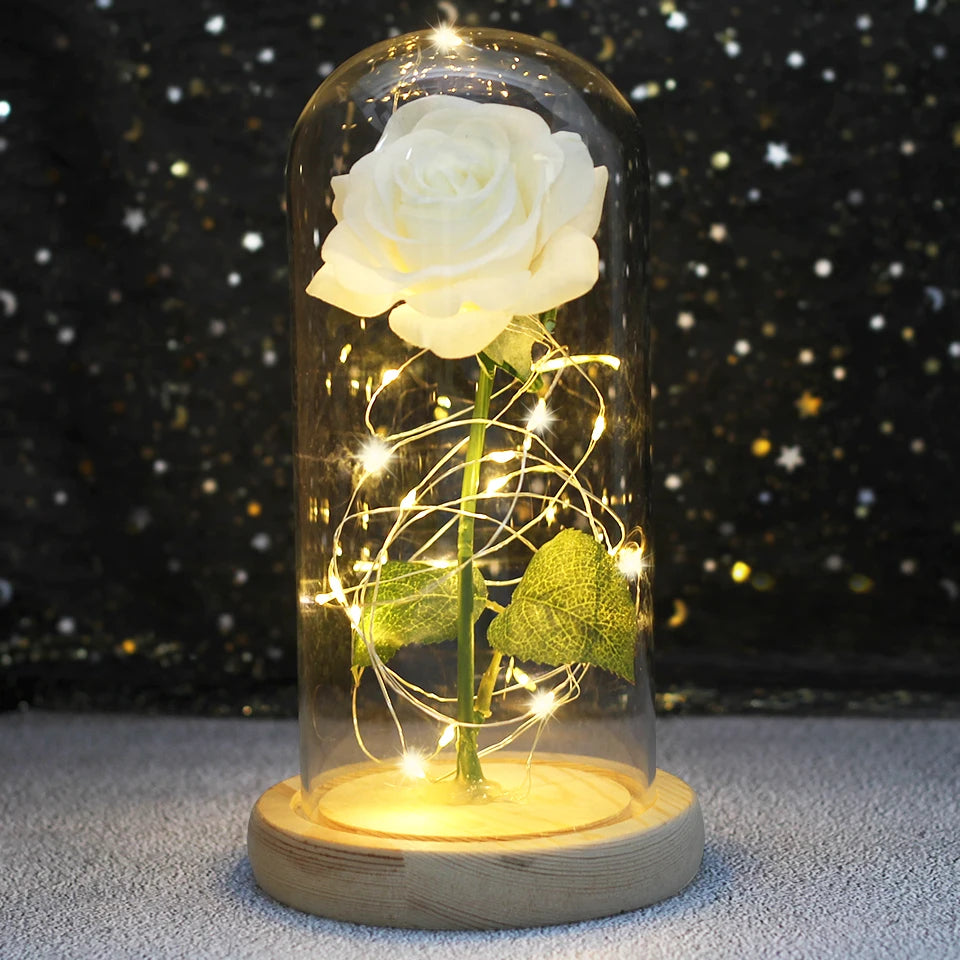 Eternal Bloom Light