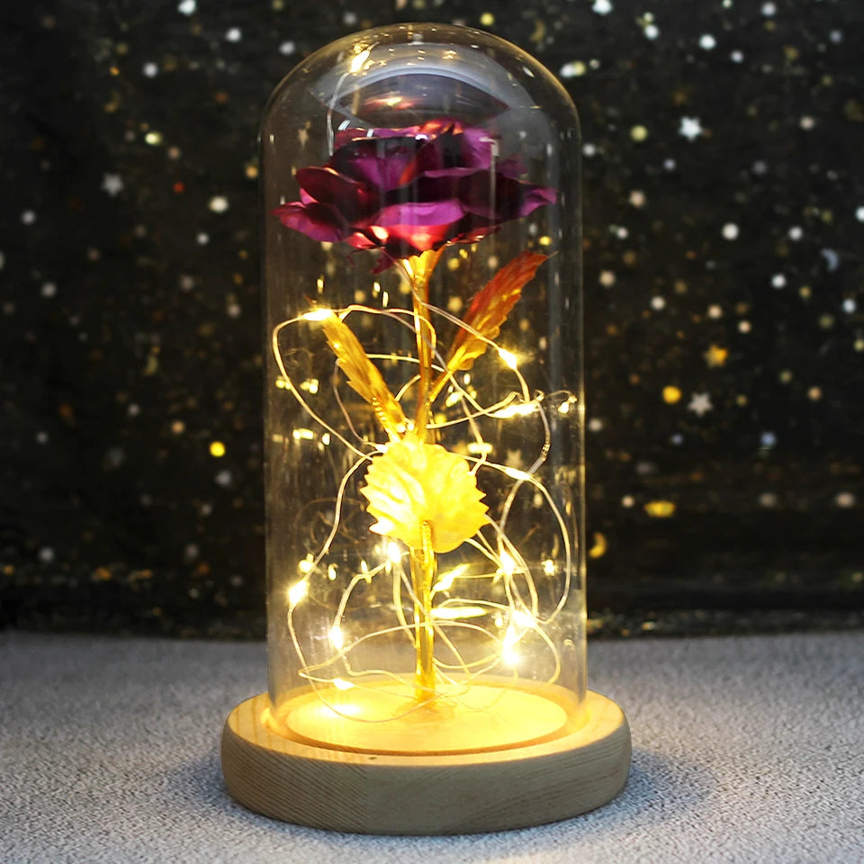 Eternal Bloom Light