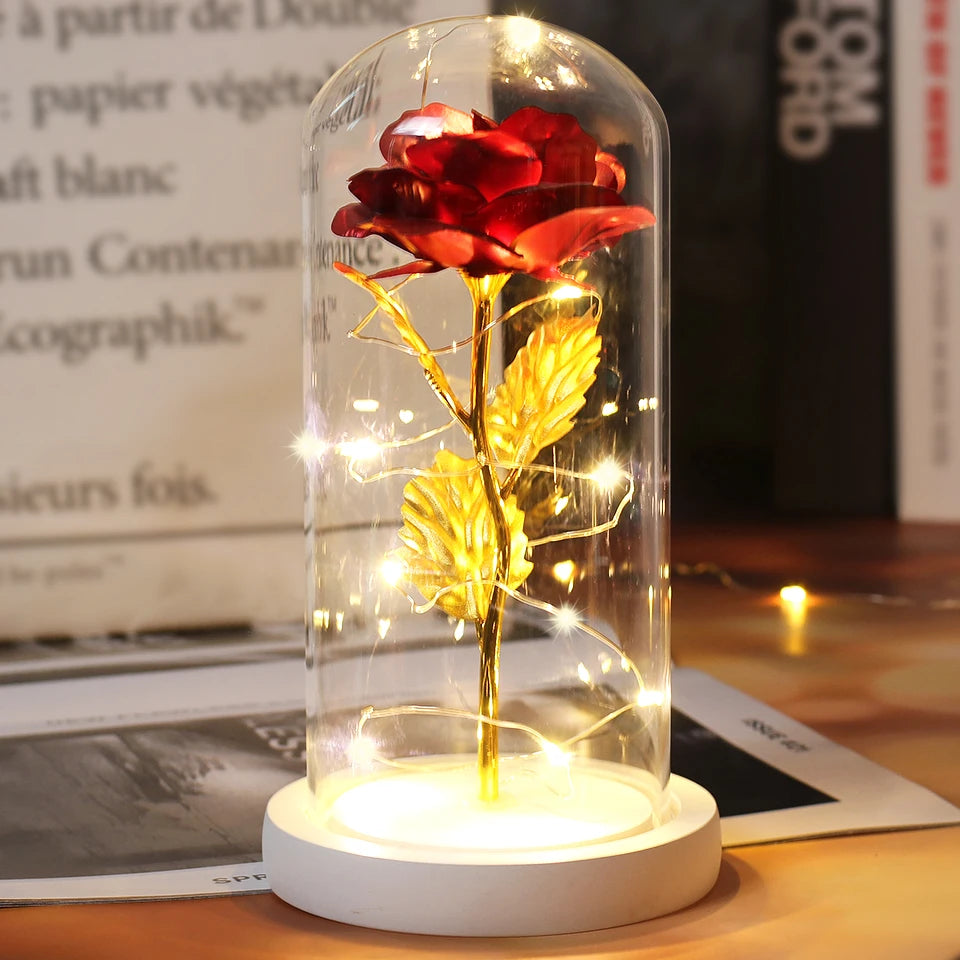 Eternal Bloom Light